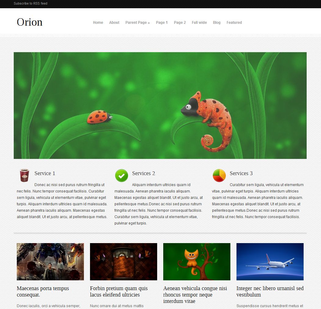 Orion free Premium WordPress Theme 2012