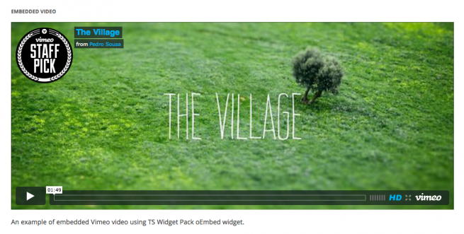 oEmbed Video with Caption Widget