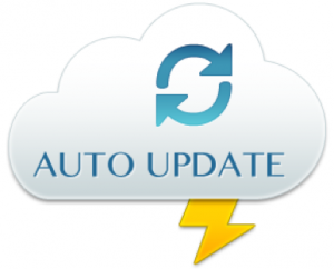 Auto update WordPress plugins