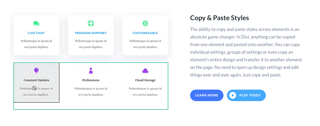 COpy Paste Styles Divi Leads WordPress Landing Page Builder